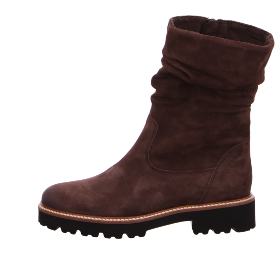 Gabor Shoes AG Boots & Stiefeletten